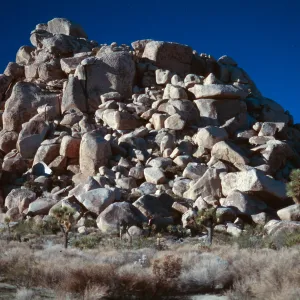 Joshual Tree National Monument