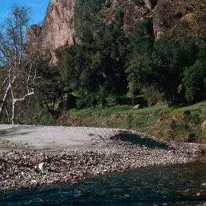 Palisades, Hunter-Liggett, April, 1996