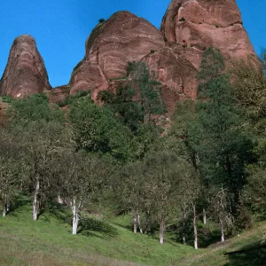 Palisades, Hunter-Liggett, April, 1996