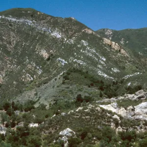 Chaparral, Junipero Serra ridge, Santa Lucia Mountains