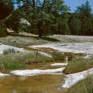 creek, Santa Lucia Memorial Park, Santa Lucia Mountains