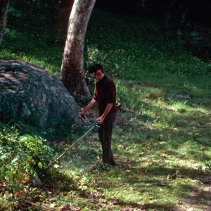 weeds eradication, Santa Barbara Museum