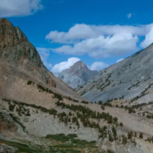 from trail down West side of Summit Pass, Sawtooth Range in back, Mono County, 9/29/1966