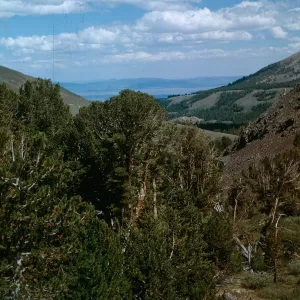 Owens Valley in distance from trail, below Summit Pass, above Virginia Lake
