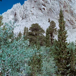 above North Lake on Piute Pass Trail