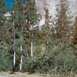 trail from North Lake, Piute Pass