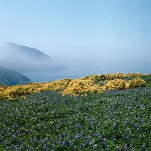 Anacapa Island