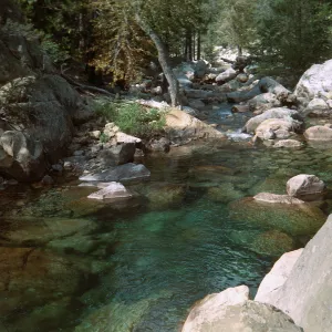 Tuttle Creek, King's Canyon, Garden bus trip