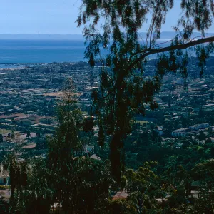 Bay from Franceschi park