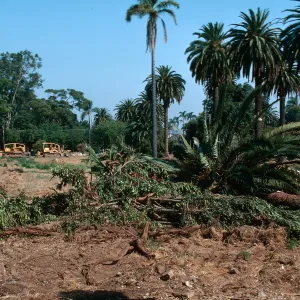 El Mirasol, Alice Keck Park Memorial Garden construction