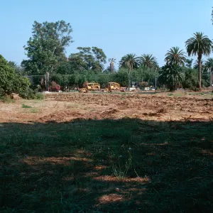 El Mirasol