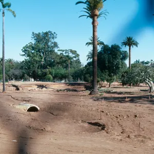 El Mirasol, from Micheltorena Street