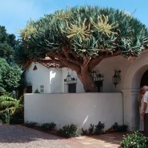 â€œCasa Palmillaâ€ Nancarrow's residence