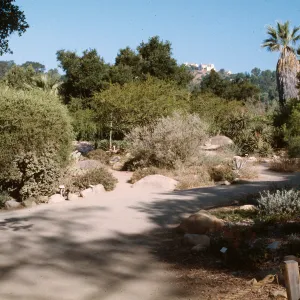 Desert section, SBBG