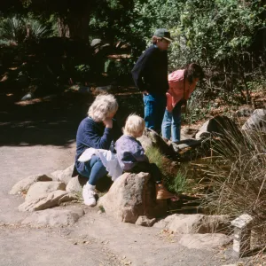 Visitors at Pond