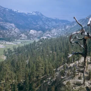 East from top of Ebbett's Pass, 9/1970