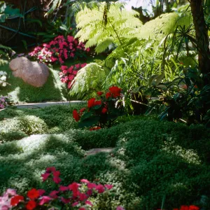 Self-Realization Gardens, Encinitas