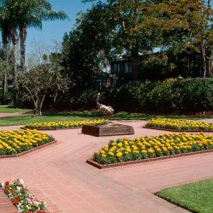 Sherman Library & Gardens, wood herons