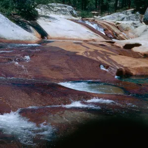 West fork, Chiquito Creek