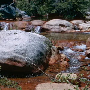 West fork, Chiquito Creek
