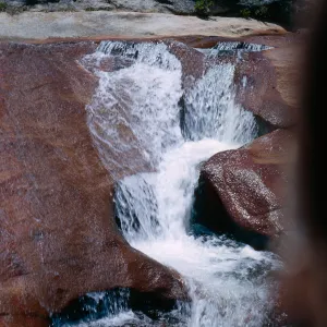 West fork, Chiquito Creek