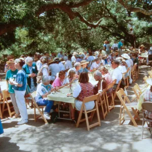 Volunteer Luncheon