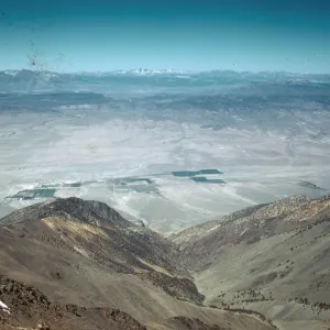 Trip to Ancient Bristlecone Forest, Inyo National Forest w/Neil Muller, 1960-68