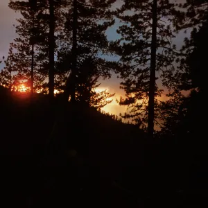 Fire, Santa Barbara Botanic Garden trip, Sequoia National Park, 1961