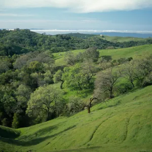 Hills, W of Henry Coe State Park, Santa Clara and Stanislaus County