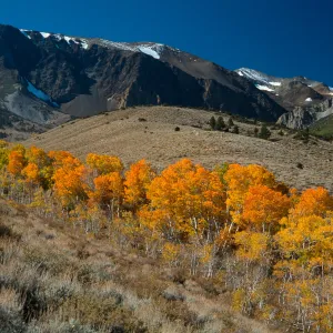 Parker Lake Road, June Lake Loop