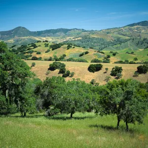 Sedgwick Ranch