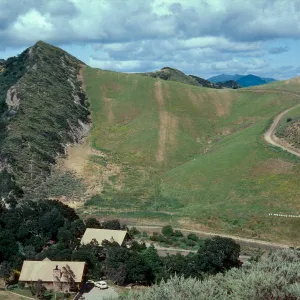 Woodland/Sage Scrub/Grassland (soil contact), Hollister Ranch, Santa Barbara County
