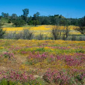 Shell Creek Road, South of Shandon, San Luis Obispo County