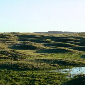 Mima mounds and vernal pools, Madera County
