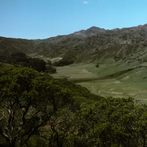 Central Valley, looking west, Santa Cruz Island