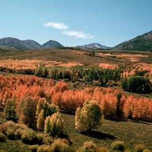 Conway Summit, U.S. 395 south of Bridgeport