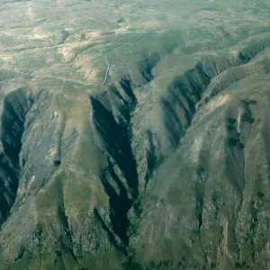 Dissanthelium californicum, Eagle Canyon, SCMI 
