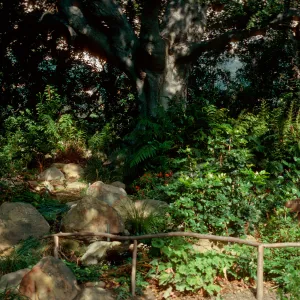 Sellar and Bessie Bullard Brook