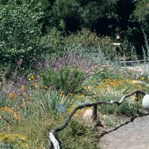 Mixed border at the Meadow